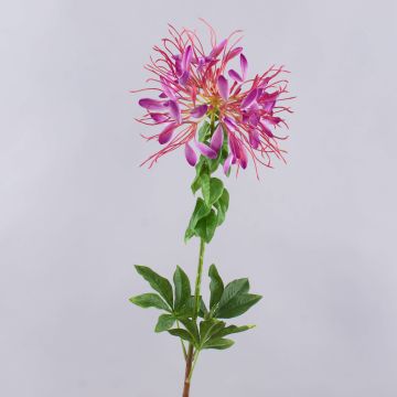 Artificial spider flower HILDEGARD, violet, 33"/85cm, Ø8"/20cm