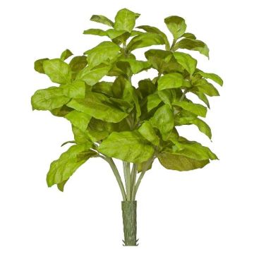 Decorative basil KRITIKA on a stick, green, 11"/28cm Decorative basil KRITIKA on a stick, green, 11"/28cm