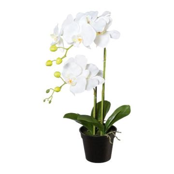 Plastic flower Phalaenopsis orchid WENJAN, decorative pot, roots, white, 22"/55cm