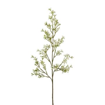 Decorative branch Jasmine PLOVER, white, 31"/80cm Decorative branch Jasmine PLOVER, white, 31"/80cm