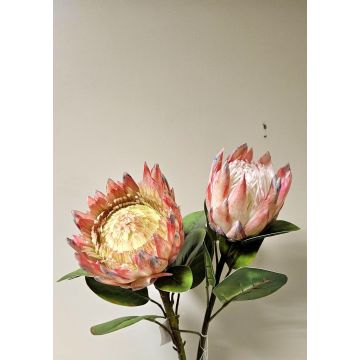 Decorative flower branch King protea TANIEKA, pink-white, 28"/70cm Decorative flower branch King protea TANIEKA, pink-white, 28"/70cm