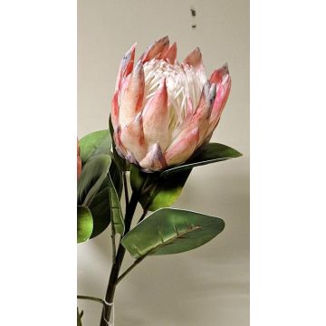 Decorative flower branch King protea TANIEKA, pink-white, 28"/70cm