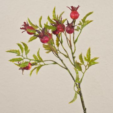 Decorative dog rose branch VIVEKA with rose hips, red, 20"/50cm