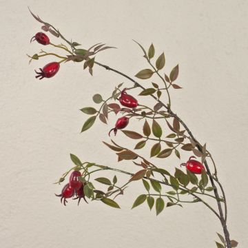Artificial dog rose branch VARDALIA with rose hips, red, 3ft/95cm
