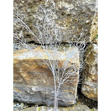 Decorative willow branch DONATELLA, silver, 28"/70cm Decorative willow branch DONATELLA, silver, 28"/70cm