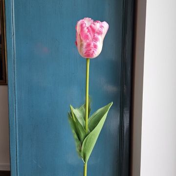 Plastic flower Parrot tulip PETSCHORA, dark pink-cream, 26"/65cm