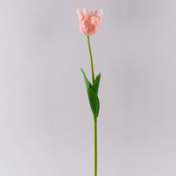 Plastic flower Parrot tulip PETSCHORA, apricot-pink, 26"/65cm