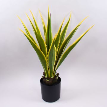 Artificial agave furcraea gigantea CHERIE, green-yellow, 31"/80cm Artificial agave furcraea gigantea CHERIE, green-yellow, 31"/80cm