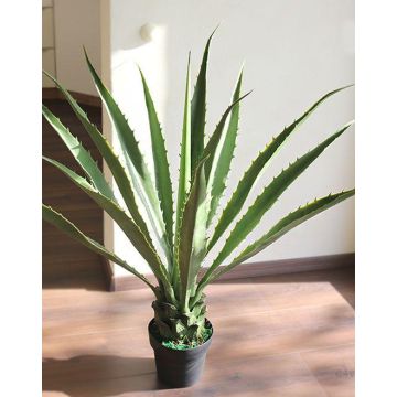Artificial agave furcraea gigantea CHERIE, green-grey, 31"/80cm
