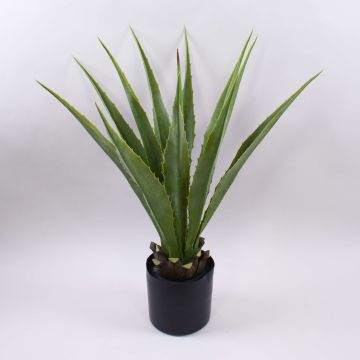 Artificial agave furcraea gigantea CHERIE, green-grey, 31"/80cm Artificial agave furcraea gigantea CHERIE, green-grey, 31"/80cm