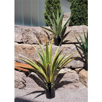 Artificial Agave furcraea gigantea CHERIE, green-yellow, 4ft/120cm