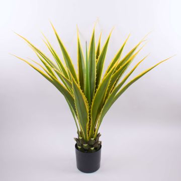 Artificial Agave furcraea gigantea CHERIE, green-yellow, 4ft/120cm Artificial Agave furcraea gigantea CHERIE, green-yellow, 4ft/120cm