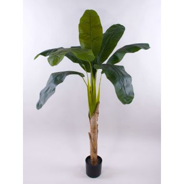 Artificial palm banana tree SHARA, 5ft/150cm Artificial palm banana tree SHARA, 5ft/150cm