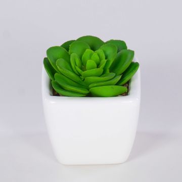 Decorative Echeveria elegans KATNISS, ceramic pot, green, 2.4"/6cm