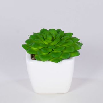 Decorative Echeveria gibbiflora KATNISS, ceramic pot, green, 2.4"/6cm