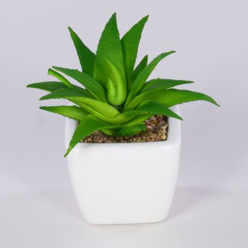 Decorative aloe vera KATNISS, ceramic pot, green, 3.5"/9cm