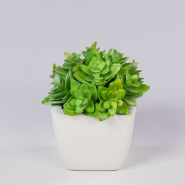 Decorative Echeveria macdougallii KATNISS, ceramic pot, green, 4.7"/12cm