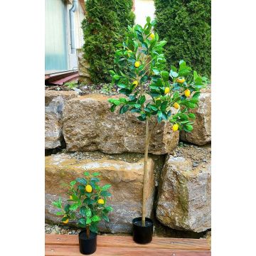 Artificial lemon tree AINSLEY with fruits, artificial trunk, 7ft/200cm Artificial lemon tree AINSLEY with fruits, artificial trunk, 7ft/200cm