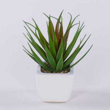 Decorative Agave decipiens KATNISS in ceramic pot, green-red, 7"/19cm