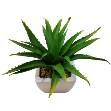 Decorative aloe vera KATNISS, ceramic pot, green, 7"/19cm Decorative aloe vera KATNISS, ceramic pot, green, 7"/19cm