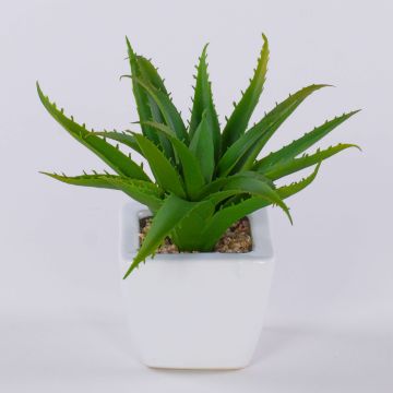 Decorative aloe vera KATNISS, ceramic pot, green, 7"/19cm