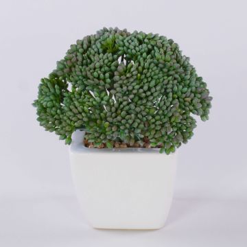 Decorative Sedum telephium KATNISS, ceramic pot, green, 5.5"/14cm