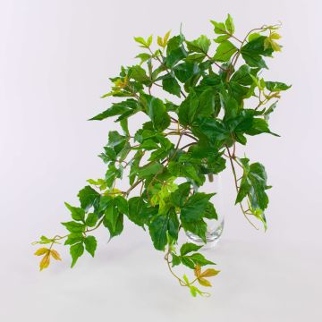 Artificial three-pointed maiden vine ZANTI on a stake, green-brown, 20"/50cm Artificial three-pointed maiden vine ZANTI on a stake, green-brown, 20"/50cm