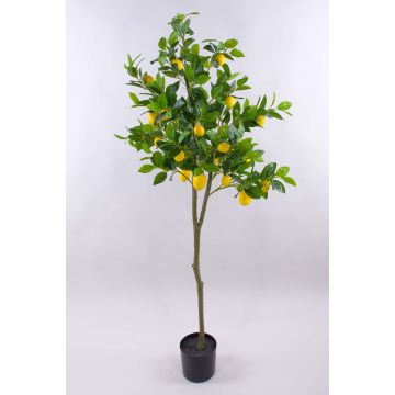 Artificial lemon tree AINSLEY with fruits, artificial trunk, 5ft/150cm Artificial lemon tree AINSLEY with fruits, artificial trunk, 5ft/150cm