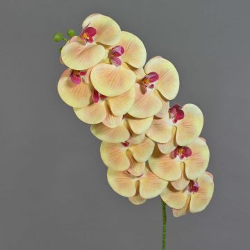 Artificial branch Phalaenopsis orchid XURI, light yellow-fuchsia, peach-hot pink, 37"/95cm, Ø4.9"/12.5cm Artificial branch Phalaenopsis orchid XURI, light yellow-fuchsia, peach-hot pink, 37"/95cm, Ø4.9"/12.5cm
