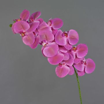 Artificial branch Phalaenopsis orchid XURI, fuchsia, 3ft/100cm