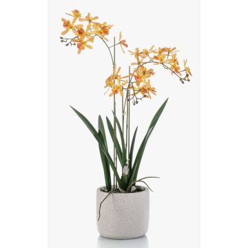 Artificial Renanthera orchid BLANI in ceramic pot, roots, yellow-fuchsia, 22"/55cm Artificial Renanthera orchid BLANI in ceramic pot, roots, yellow-fuchsia, 22"/55cm