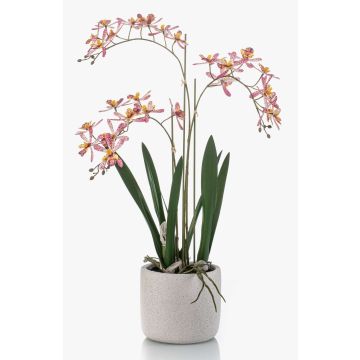 Artificial Renanthera orchid BLANI in ceramic pot, roots, white-fuchsia-yellow, 22"/55cm Artificial Renanthera orchid BLANI in ceramic pot, roots, white-fuchsia-yellow, 22"/55cm
