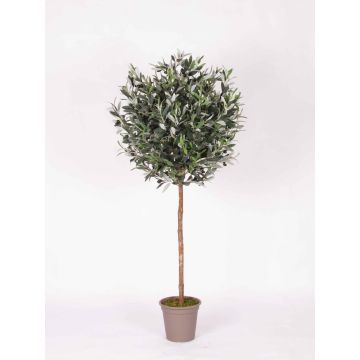 Decorative olive tree MILINO, natural stem, with fruits, 5ft/150cm - Made in Italy