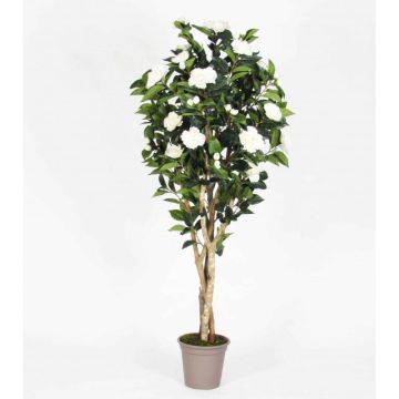 Fake camellia JEMIMANE, natural stems, with flowers, white, 4ft/125cm - Made in Italy Fake camellia JEMIMANE, natural stems, with flowers, white, 4ft/125cm - Made in Italy