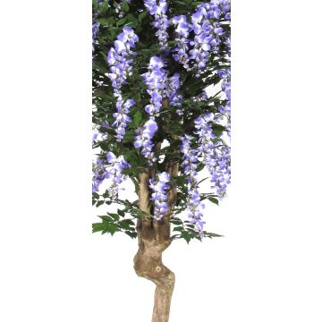False wisteria ERLINA, real stem, with flowers, purple, 6ft/175cm - Made in Italy