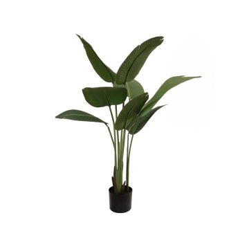 Kunstpflanze Strelitzie PANAGIOTA, grün, 110cm