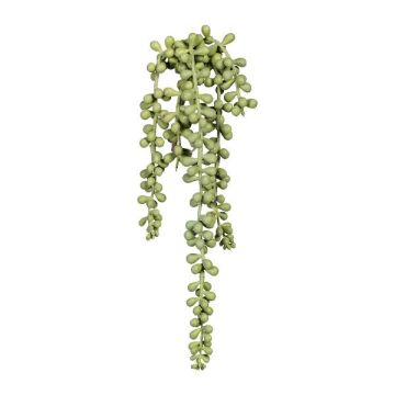 Artificial succulent pea plant FERTIN, stem, grey-green, 14"/35cm