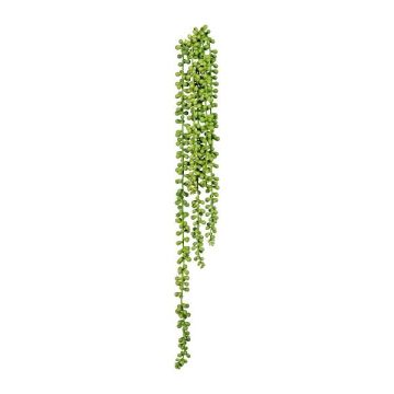 Artificial succulent pea plant FERTIN, stem, green, 28"/70cm