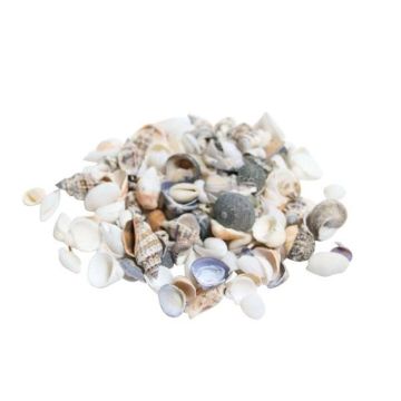 Shell mix NERINO, natural, 500g Shell mix NERINO, natural, 500g