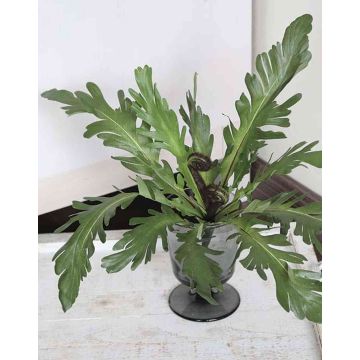 Artificial bird's nest fern ADRIENNE on spike, green, 12"/30cm, Ø18"/45cm Artificial bird's nest fern ADRIENNE on spike, green, 12"/30cm, Ø18"/45cm