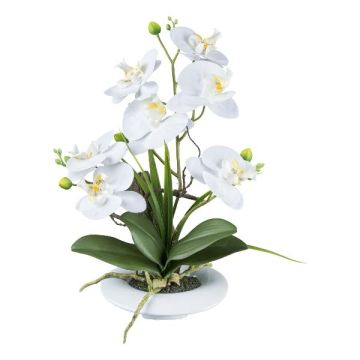 Artificial flower arrangement: Phalaenopsis orchid HIKABU with corkscrew willow, ceramic pot, roots, white, 16"/40cm Artificial flower arrangement: Phalaenopsis orchid HIKABU with corkscrew willow, ceramic pot, roots, white, 16"/40cm
