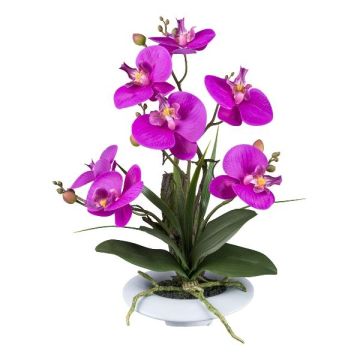 Artificial flower arrangement: Phalaenopsis orchid HIKABU with corkscrew willow, ceramic pot, roots, purple, 16"/40cm Artificial flower arrangement: Phalaenopsis orchid HIKABU with corkscrew willow, ceramic pot, roots, purple, 16"/40cm