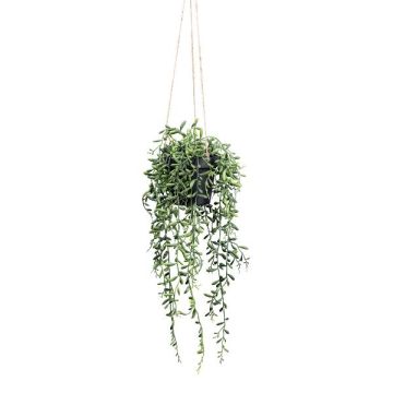Artificial succulent Senecio hanging basket GRISTY in decorative pot, green, 22"/55cm