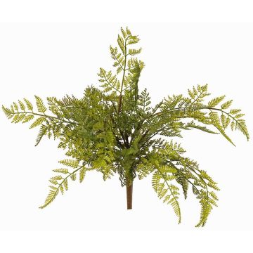 Artificial shield fern 'ÖZDEN' on a stick, green, 16"/40cm, Ø18"/45cm Artificial shield fern 'ÖZDEN' on a stick, green, 16"/40cm, Ø18"/45cm
