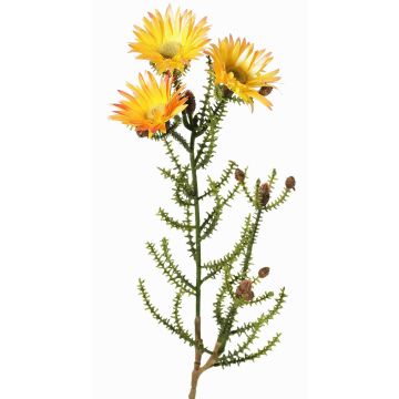 Artificial Cape strawflower BEYA, yellow-light orange, 24"/60cm, Ø2.4"/6cm