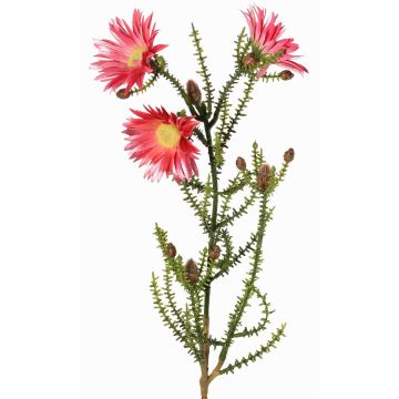 Artificial Cape strawflower BEYA, pink-fuchsia, 24"/60cm, Ø2.4"/6cm