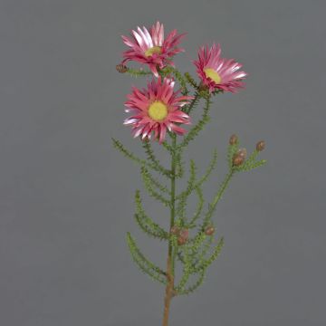 Artificial Cape strawflower BEYA, pink-pink, 60cm, Ø6cm