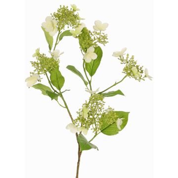 Artificial hydrangea branch KATHANI, white-green, 31"/80cm, Ø3.9"-5.1"/10-13cm