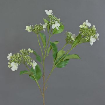 Artificial hydrangea branch KATHANI, white-green, 80cm, Ø10–13cm