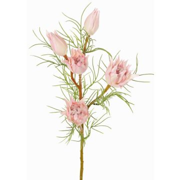Decorative protea branch NOHEA, pink-white, 24"/60cm, Ø1.2"-2.4"/3-6cm Decorative protea branch NOHEA, pink-white, 24"/60cm, Ø1.2"-2.4"/3-6cm